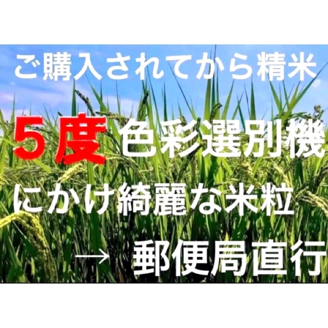 ✳️令和５年産✳️５回色彩選別・減農・有機肥料・送料無料ハツシモ10キロ 食品/飲料/酒の食品(米/穀物)の商品写真