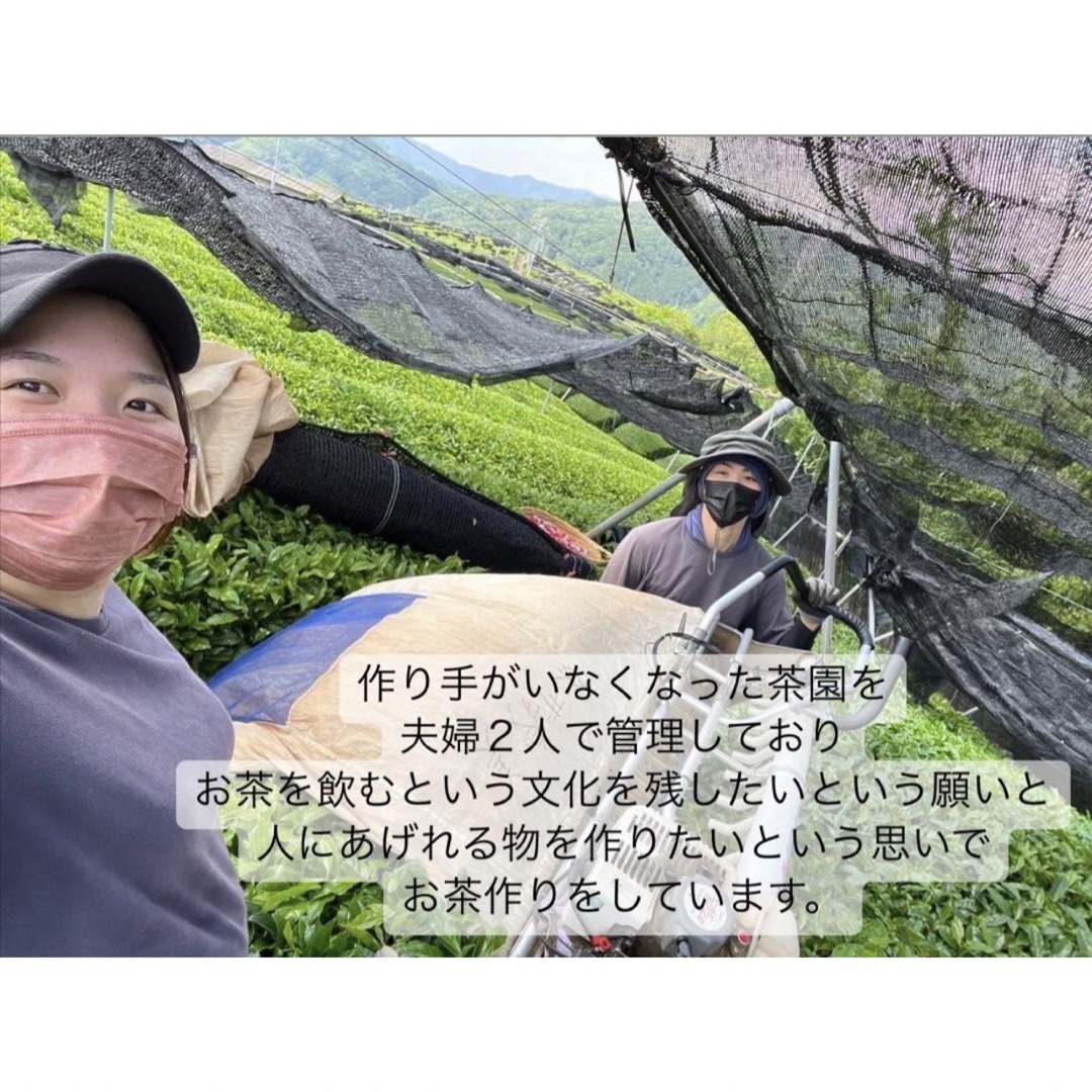 ＊無農薬お茶＊春番茶　化学肥料・除草剤・畜産堆肥不使用　2023年産 食品/飲料/酒の飲料(茶)の商品写真