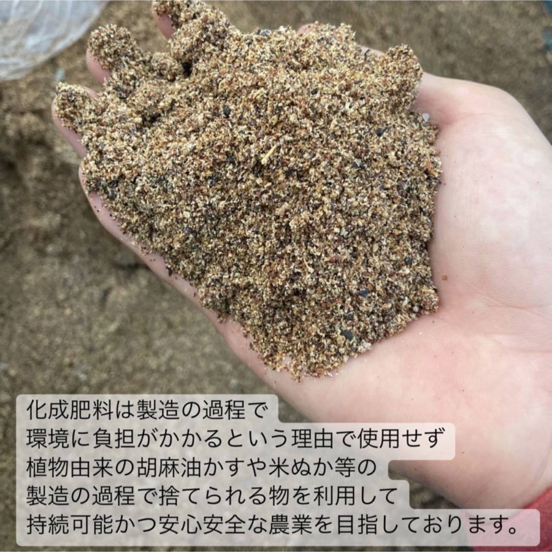 ＊無農薬お茶＊春番茶　化学肥料・除草剤・畜産堆肥不使用　2023年産 食品/飲料/酒の飲料(茶)の商品写真