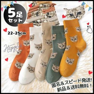 大人気！ 靴下 ソックス レディース まとめ売り ねこ ネコ 冬 かわいい 韓国(ソックス)