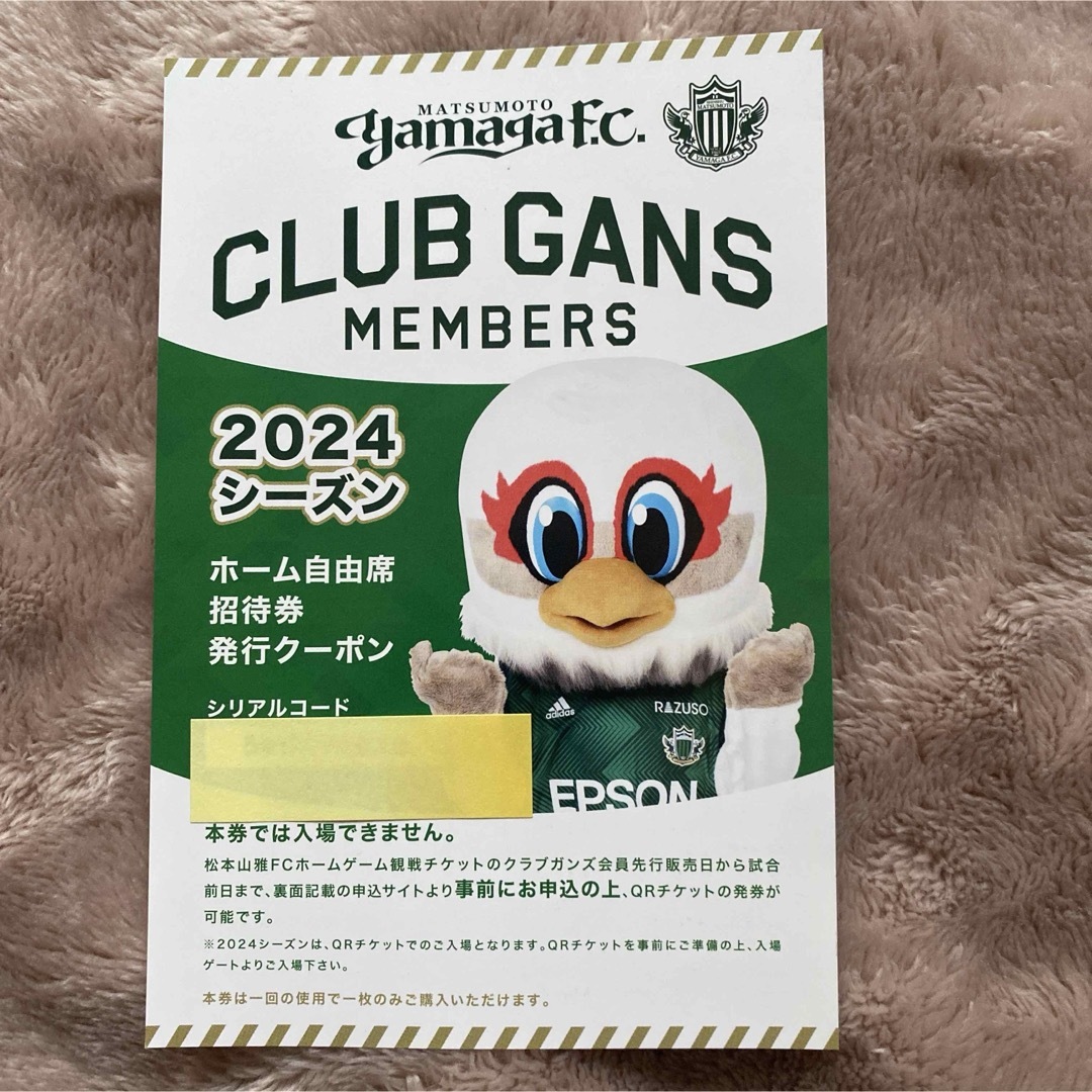 松本山雅　2024シーズン　ホーム自由席招待券 チケットのスポーツ(サッカー)の商品写真