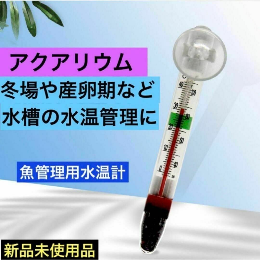 めだか 水温計メダカ飼育 温度計 アクアリウム 水槽 水質 稚魚管理 産卵期 その他のペット用品(アクアリウム)の商品写真