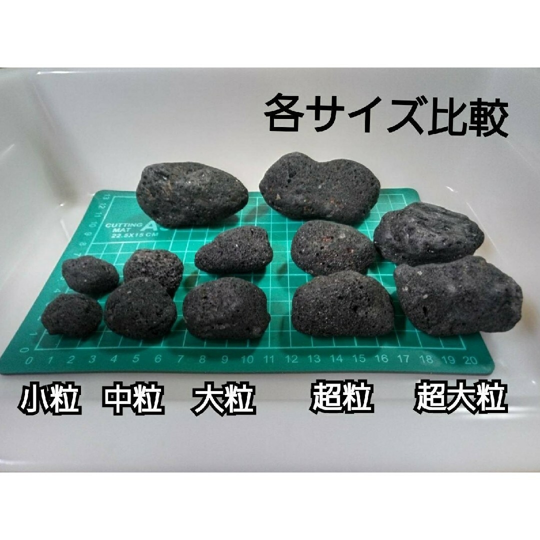 ADA ウィーピングモス　水草付き流木　黒溶岩石5個(中粒)　おまけ付き その他のペット用品(アクアリウム)の商品写真