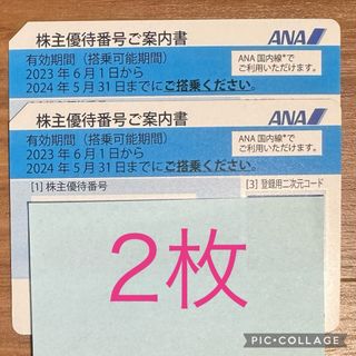 エーエヌエー(ゼンニッポンクウユ)(ANA(全日本空輸))のANAの株主優待券　2枚(航空券)