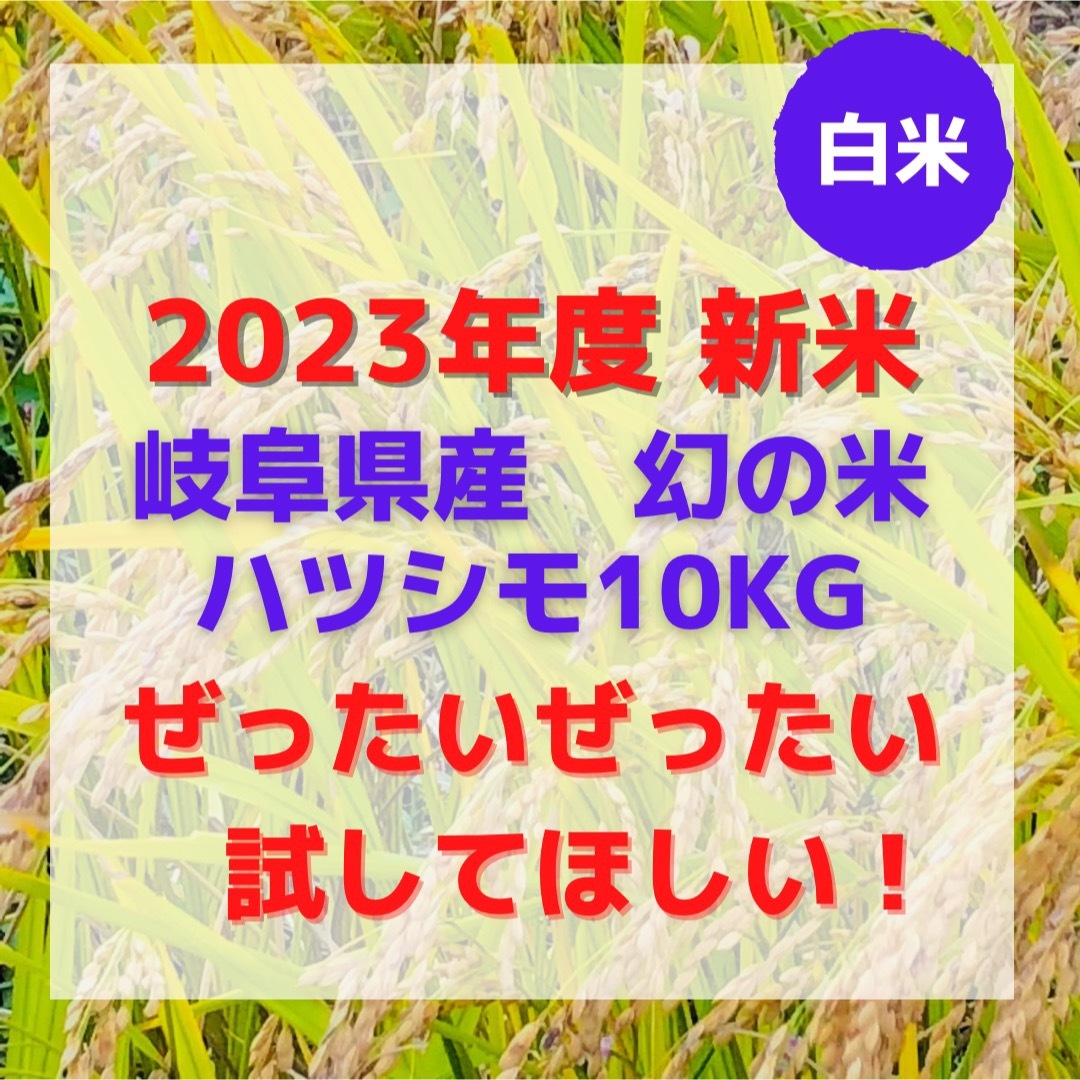 2023年度 幻の米 岐阜県産ハツシモ10kg 食品/飲料/酒の食品(米/穀物)の商品写真