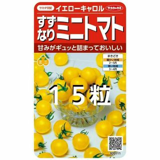 メーカー品未開封＜野菜の種＞１５粒　すずなりミニトマト　イエローキャロル(プランター)