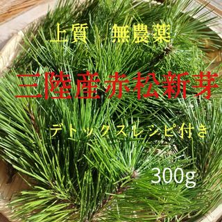 松の葉300g    上質赤松新芽　デトックスレシピ付き(野菜)