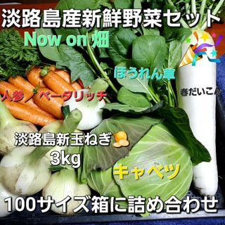 淡路島新玉ねぎ🧅メインの採れたて野菜セット(野菜)