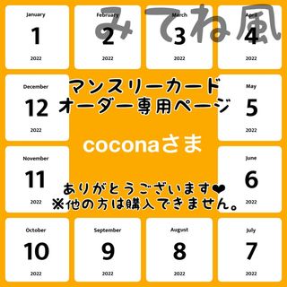 【coconaさま専用ページ】マンスリーカード【みてね風】(アルバム)