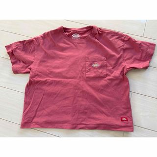 ディッキーズ(Dickies)のディッキーズ　フリーサイズ　レディース　半袖(Tシャツ(半袖/袖なし))