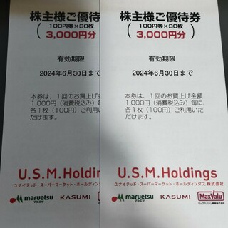 ユナイテッドスーパーマーケット(USMH) 株主優待券 6,000円分(ショッピング)