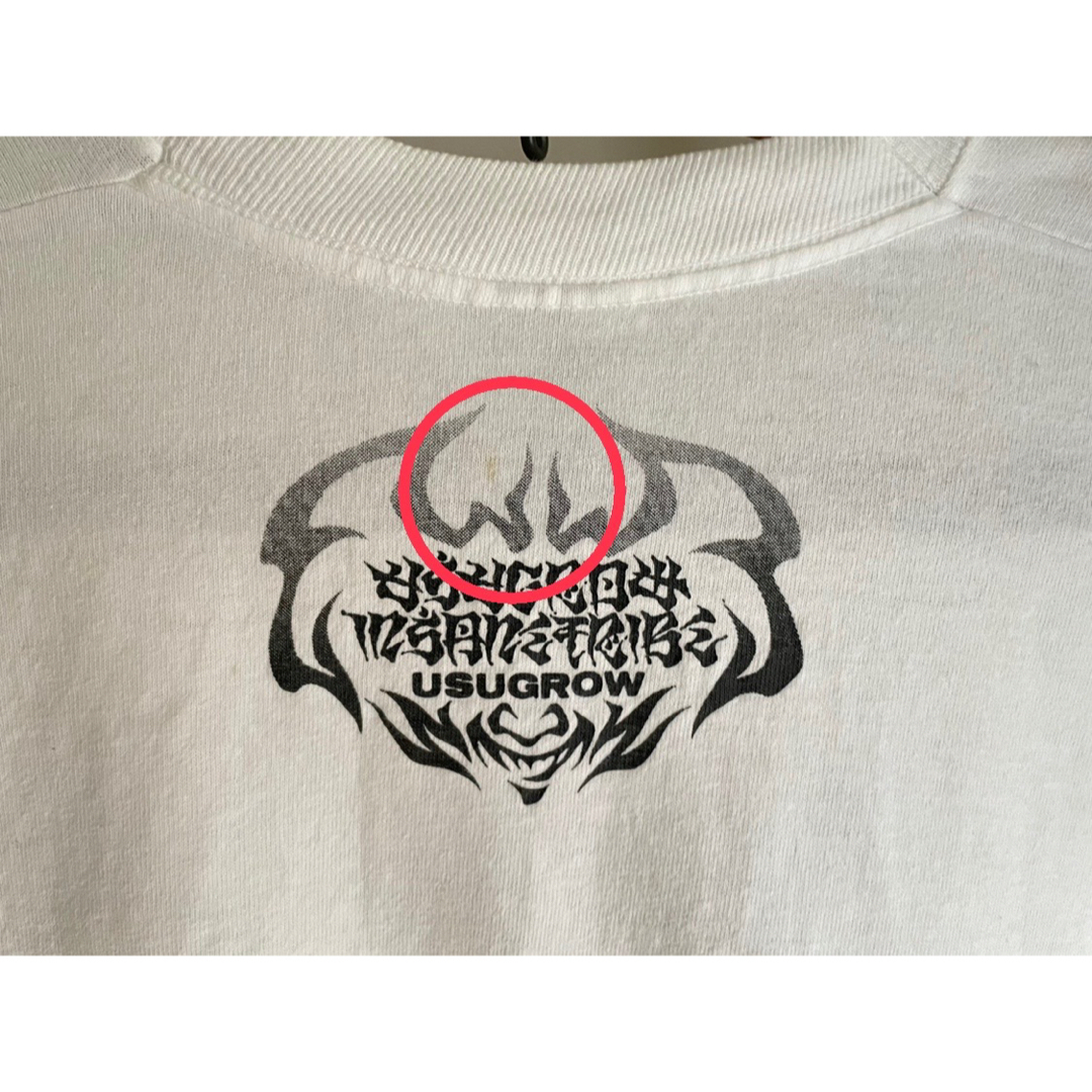 ⭐︎USUGROW×DBX ヴィンテージ　希少　90's  Tシャツ  メンズのトップス(Tシャツ/カットソー(半袖/袖なし))の商品写真