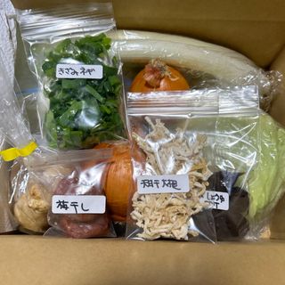 完全無農薬季節のお野菜詰め合わせMセット60サイズ(野菜)