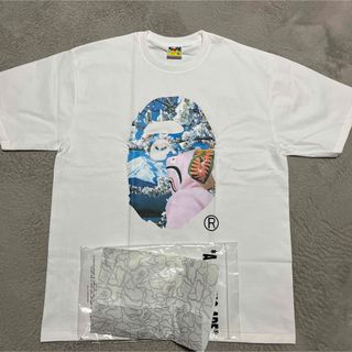 アベイシングエイプ(A BATHING APE)のAPE SAKURA SHARK PHOTO tee Tシャツ　2XL シャーク(Tシャツ/カットソー(半袖/袖なし))