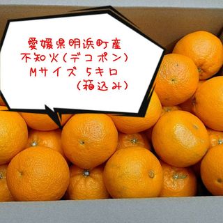 【愛媛県明浜町産】訳あり家庭用 不知火『デコポン』 Mサイズ 約5キロ(箱込み)(フルーツ)