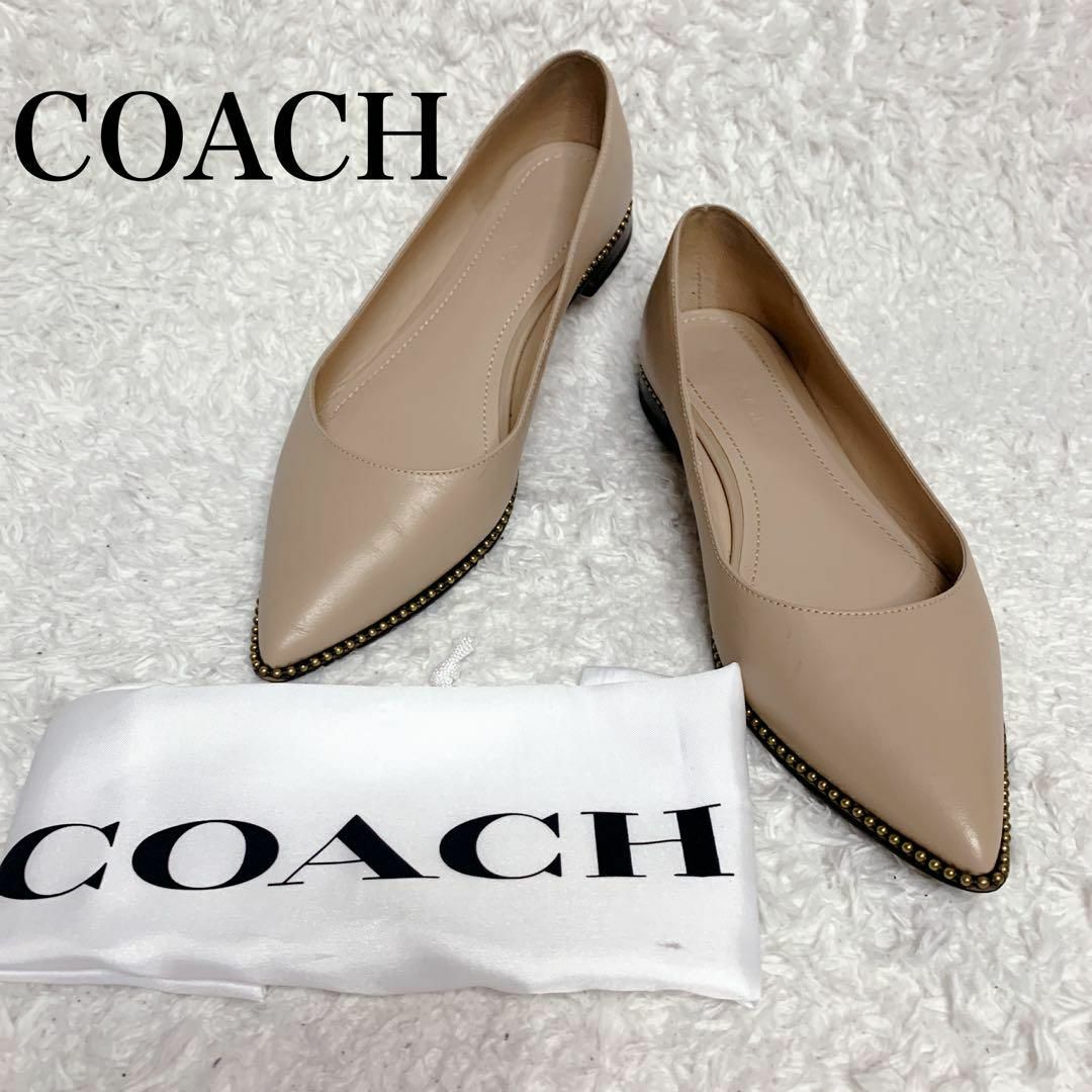 COACH(コーチ)の美品　coach コーチ　スタッズ　パンプス　ベージュ　ポインテッドトゥ　高級 レディースの靴/シューズ(ハイヒール/パンプス)の商品写真