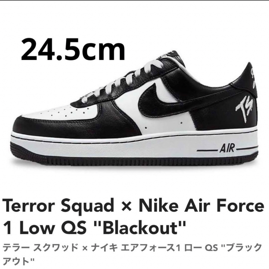 NIKE(ナイキ)のTerror Squad × Nike Air Force 1 Low QS メンズの靴/シューズ(スニーカー)の商品写真