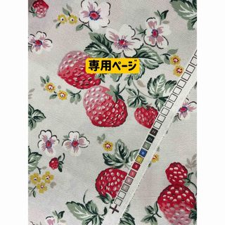 キャスキッドソン(Cath Kidston)の3/11新入荷❣️【1ヤード】キャスキッドソン　ワイルドストロベリー デニム生地(生地/糸)