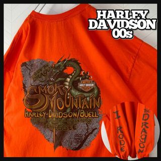 ハーレーダビッドソン(Harley Davidson)の超激レア 00s ハーレーダビッドソン ロンT ドラゴン 龍 2XL 両面袖ロゴ(Tシャツ/カットソー(七分/長袖))