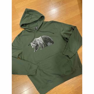 ザノースフェイス(THE NORTH FACE)のTHE NORTH FACE パーカー プルオーバー 大きい size XL(パーカー)