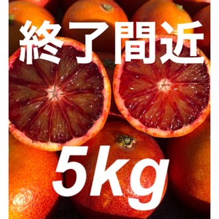 愛媛県産みかん ブラッドオレンジ(モロ) 箱込5kg発送 柑橘 果物 ミカン(フルーツ)