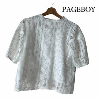 ページボーイ カットソー(レディース/半袖)の通販 800点以上 | PAGEBOY