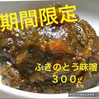 期間限定　京都　ふきのとう味噌300g(調味料)