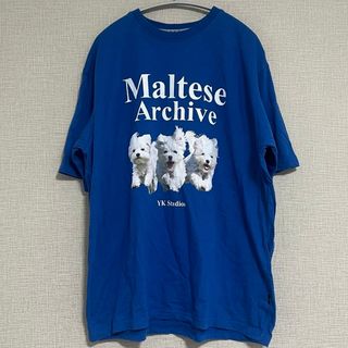 Monte Milano トップス tシャツ カットソー 3サイズ【CT119】の通販 by