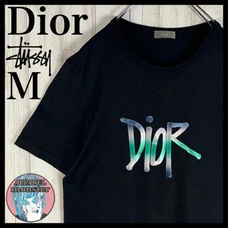 クリスチャンディオール(Christian Dior)の【限定コラボ】ディオール×ステューシー 刺繍ロゴ 即完売 希少 Tシャツ(Tシャツ/カットソー(半袖/袖なし))