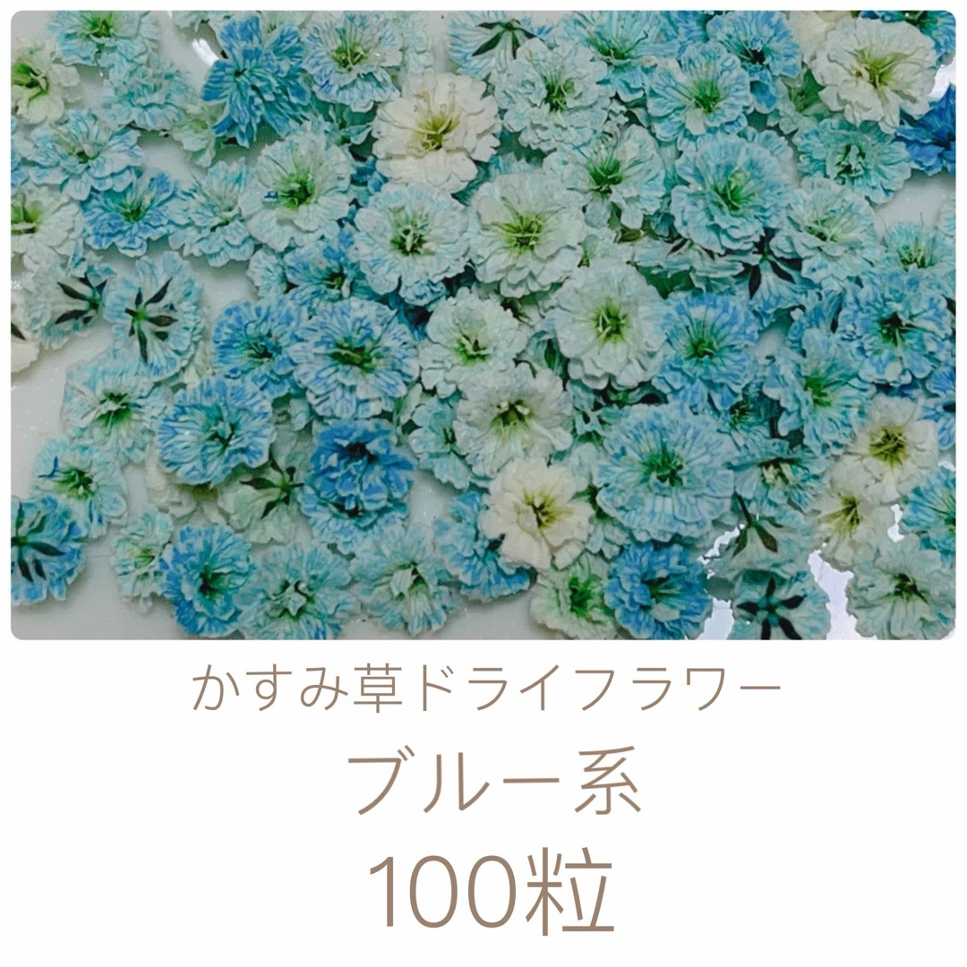 ブルー系 かすみ草ドライフラワー100粒 ハンドメイドのフラワー/ガーデン(ドライフラワー)の商品写真
