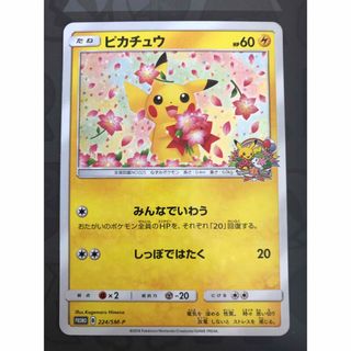 ポケモン(ポケモン)のポケモンカード 20th アニバーサリープロモ ピカチュウ 224/SM-P(シングルカード)