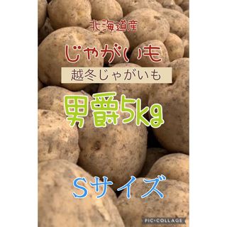 S北海道産越冬じゃがいも男爵5kg(野菜)