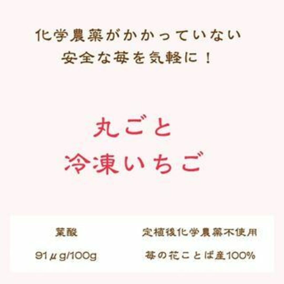 国産無添加冷凍いちご越後姫約1000g×２個合計２kgおまけの苺アイス付き 食品/飲料/酒の食品(フルーツ)の商品写真