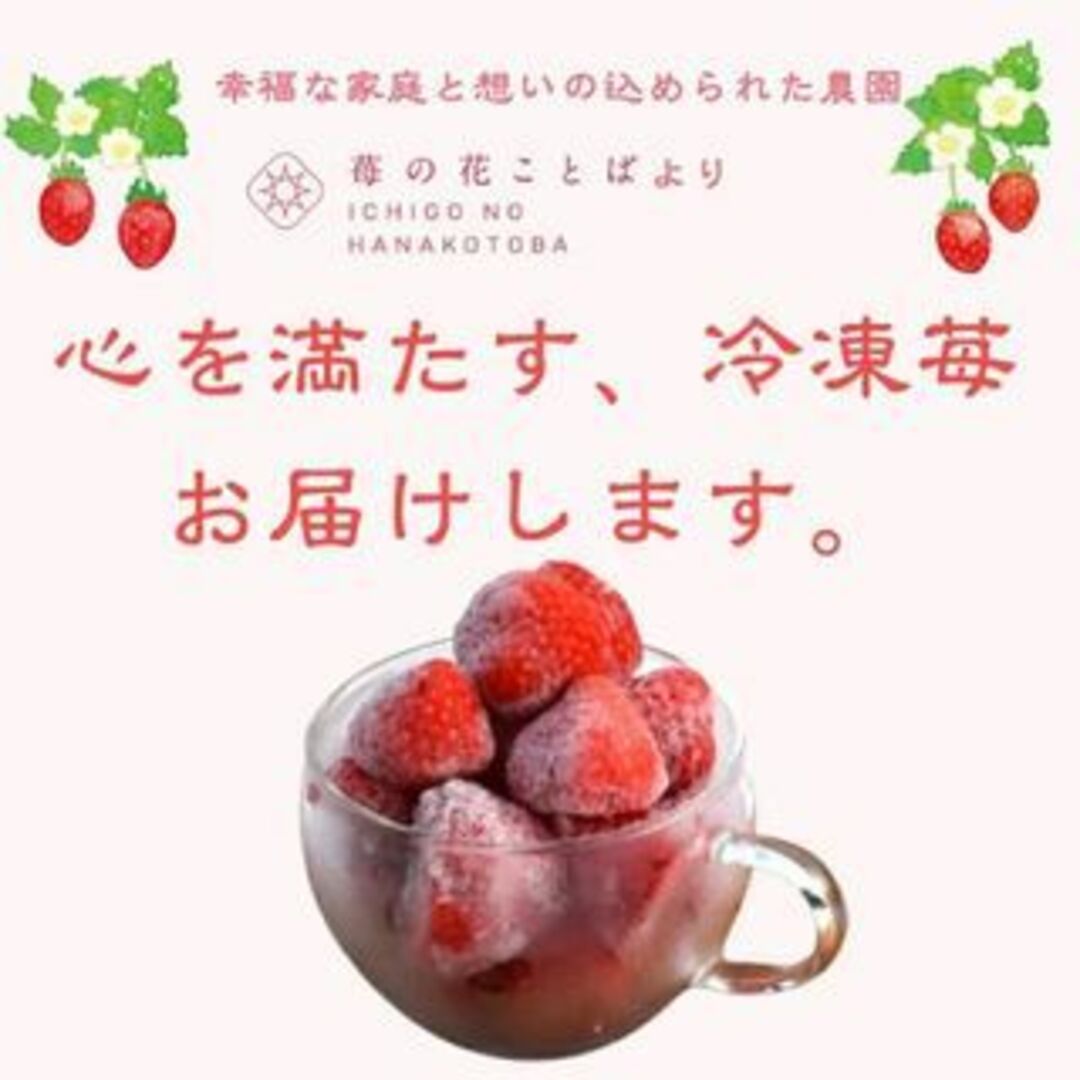 国産無添加冷凍いちご越後姫約1000g入り 食品/飲料/酒の食品(フルーツ)の商品写真