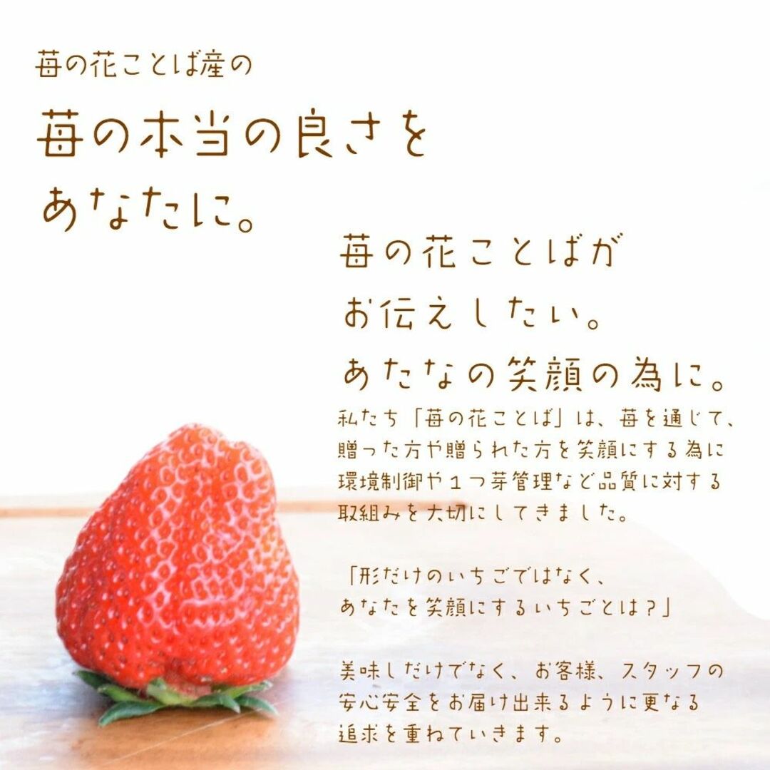 おまけ付き妊婦さんのおやつに無添加フリーズドライふわっと越後姫4g×10袋 食品/飲料/酒の食品(フルーツ)の商品写真