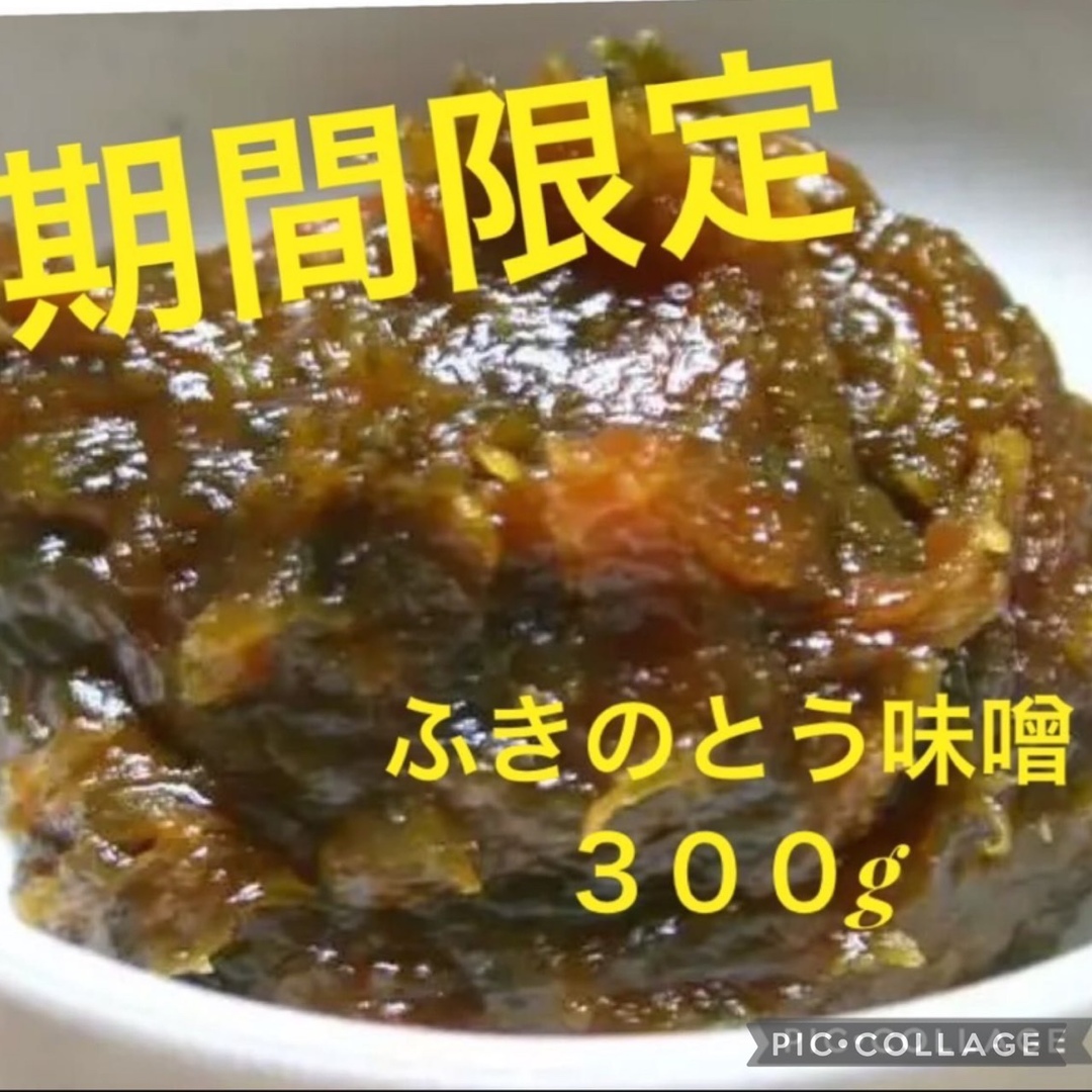 期間限定　京都ふきのとう味噌600g 食品/飲料/酒の食品(調味料)の商品写真