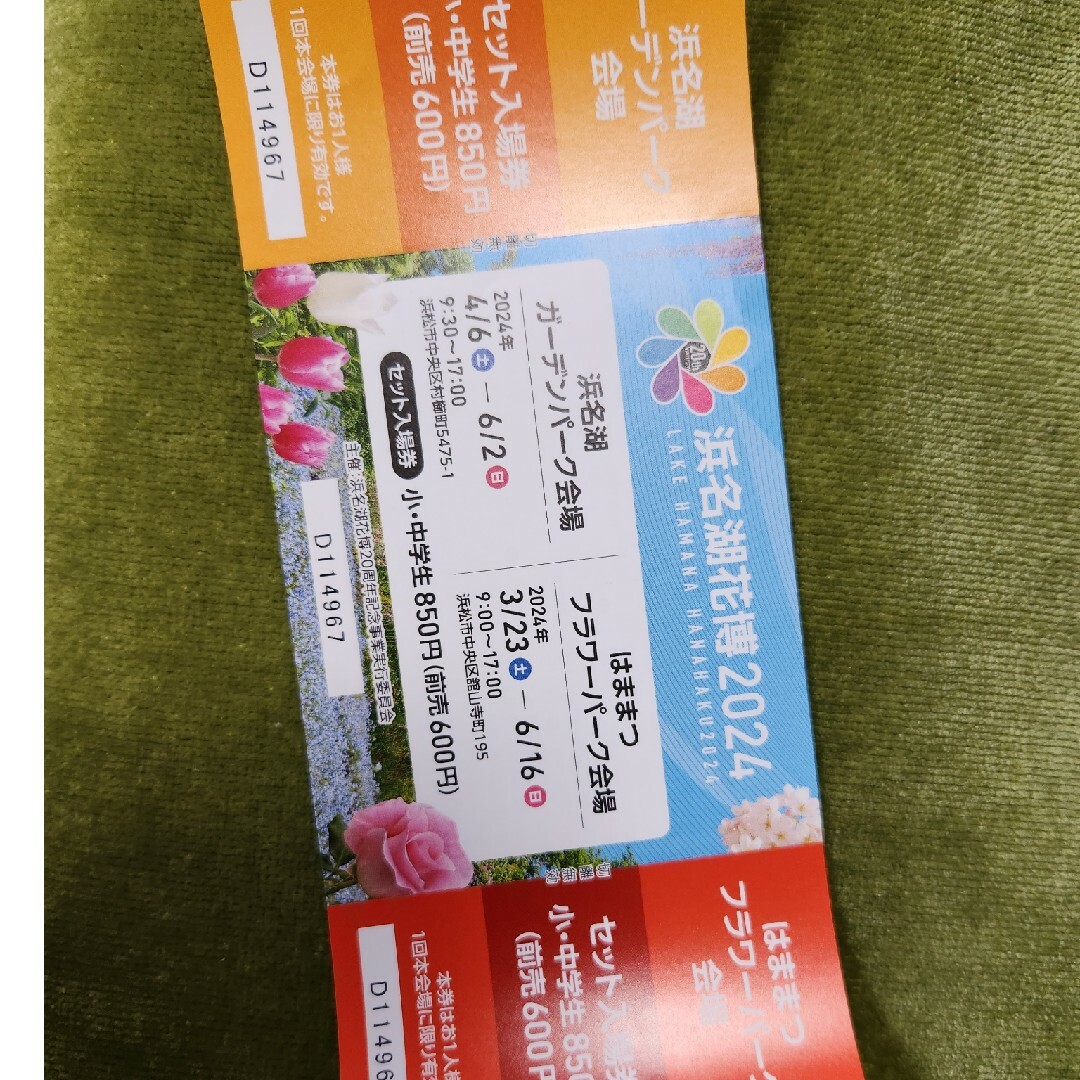 浜名湖花博2024小中学生招待券 チケットの施設利用券(その他)の商品写真