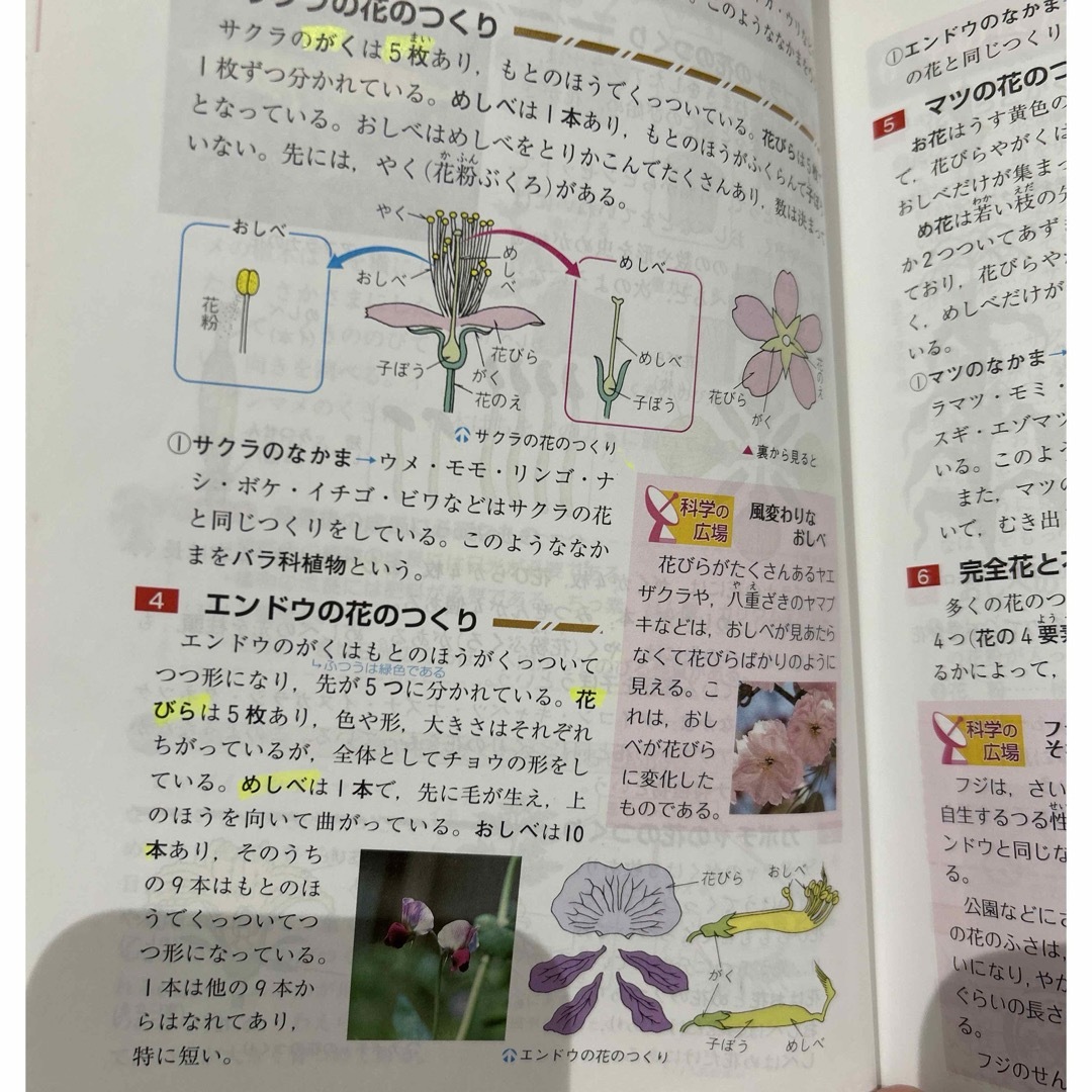 小学高学年自由自在理科 エンタメ/ホビーの本(語学/参考書)の商品写真