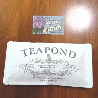 ティーポンド　紅茶TEAPOND 2023年ネパール　グランセ茶園(茶)