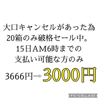 S北海道産越冬じゃがいも男爵20kg(野菜)