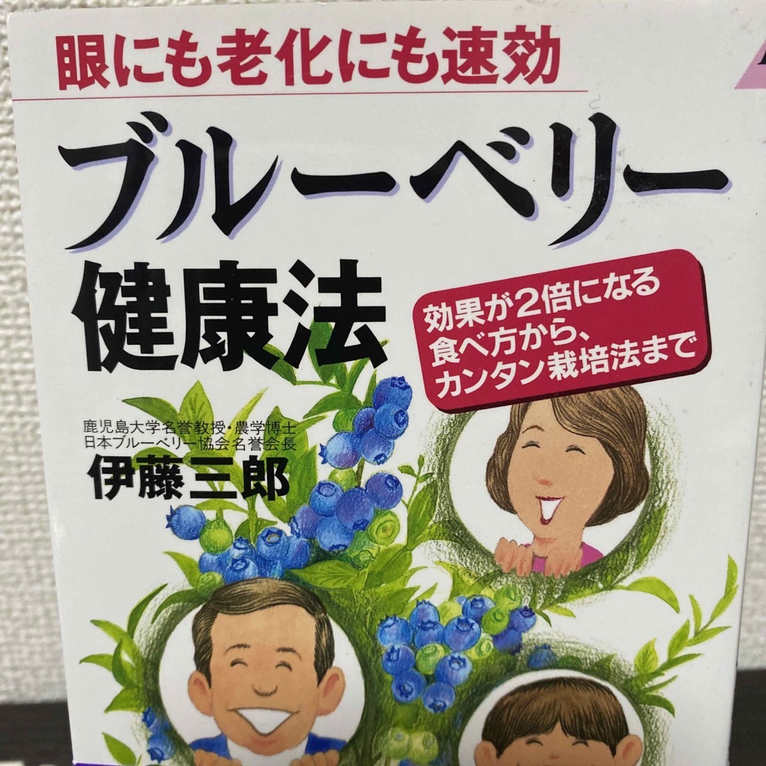 ブルーベリー健康法  エンタメ/ホビーの本(健康/医学)の商品写真