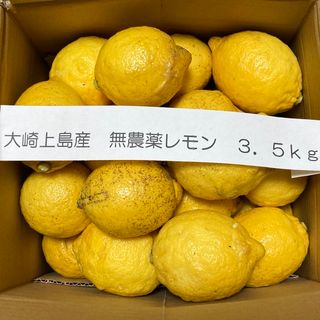 広島県大崎上島産無農薬レモン　3.5kg(フルーツ)