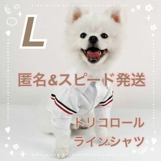 犬服 トリコロールラインシャツ L ホワイト 犬の服 ドッグウェア ペットウェア(犬)