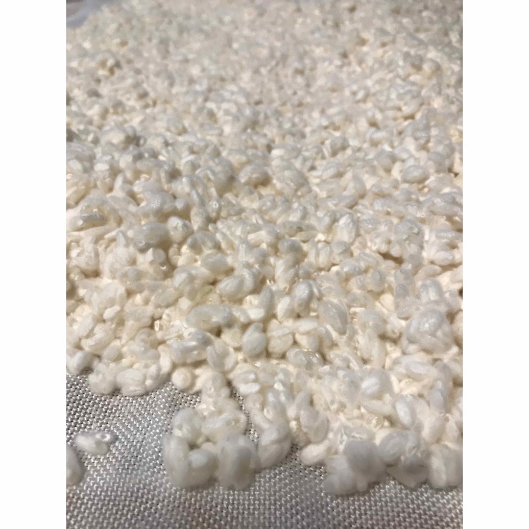 生米麹　KOMENOHANA 1kg 食品/飲料/酒の食品(米/穀物)の商品写真