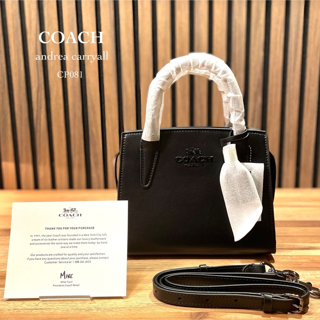 【新品未使用】COACH アンドレアキャリーオール ショルダーバッグ