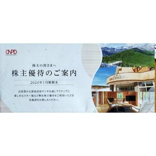 日本駐車場開発株主優待1冊(その他)