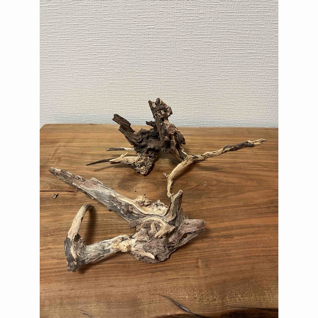 高い ADA スリムウッド ホーンウッド 流木 アクアデザインアマノ 良形 高い ADA スリムウッド ホーンウッド 流木 アクアデザインアマノ 良形