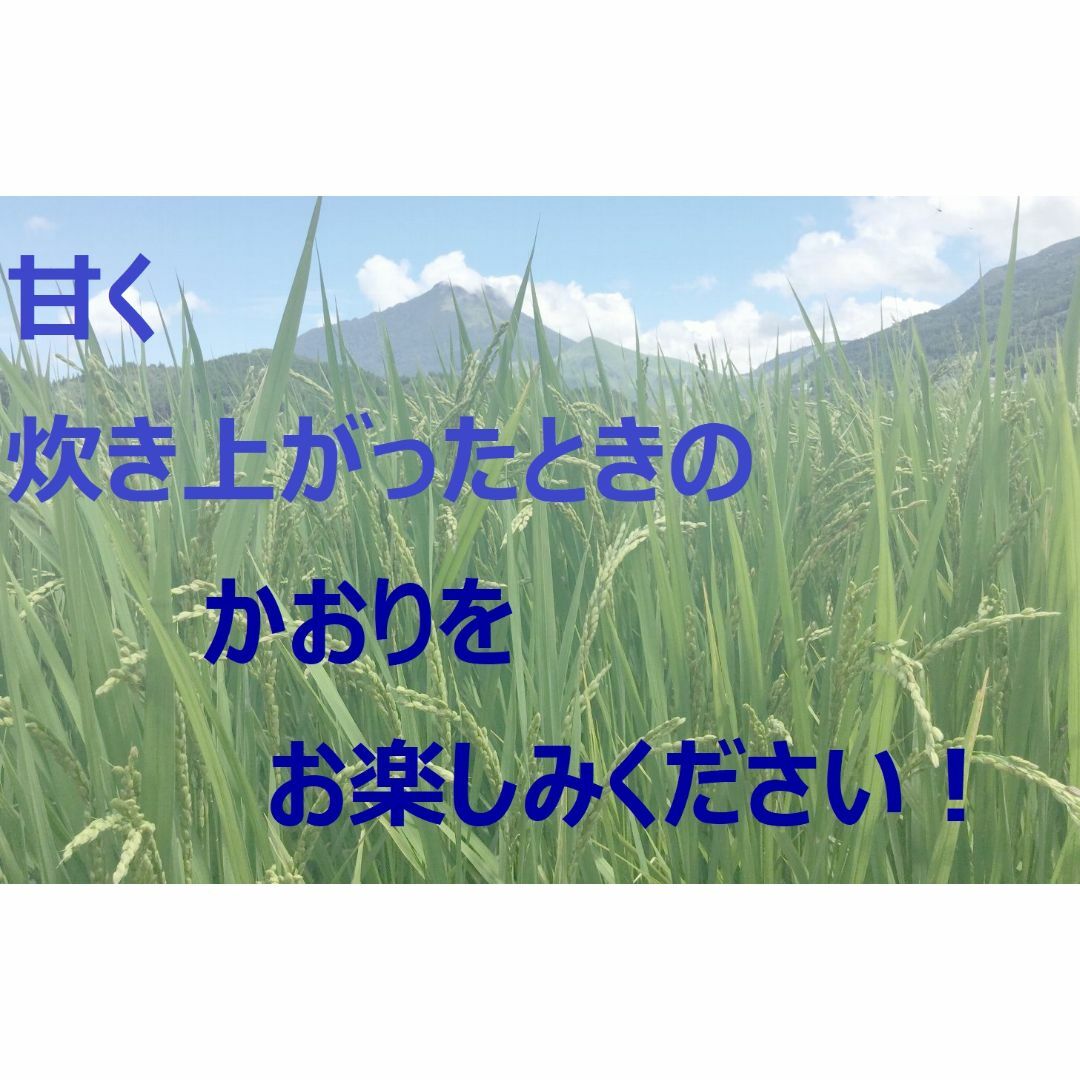 2023年産「ゆふいんのめぐみ」なつほのか白米5kg 食品/飲料/酒の食品(米/穀物)の商品写真