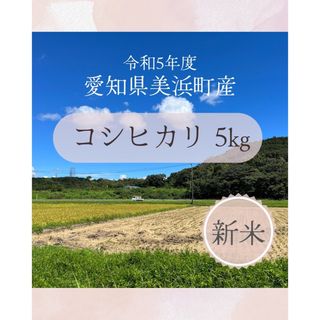 お米5キロ コシヒカリ 愛知県美浜町産令和5年度(米/穀物)