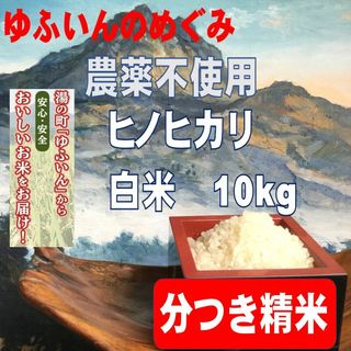 2023年産「ゆふいんのめぐみ」ヒノヒカリ分つき精米10kg(米/穀物)